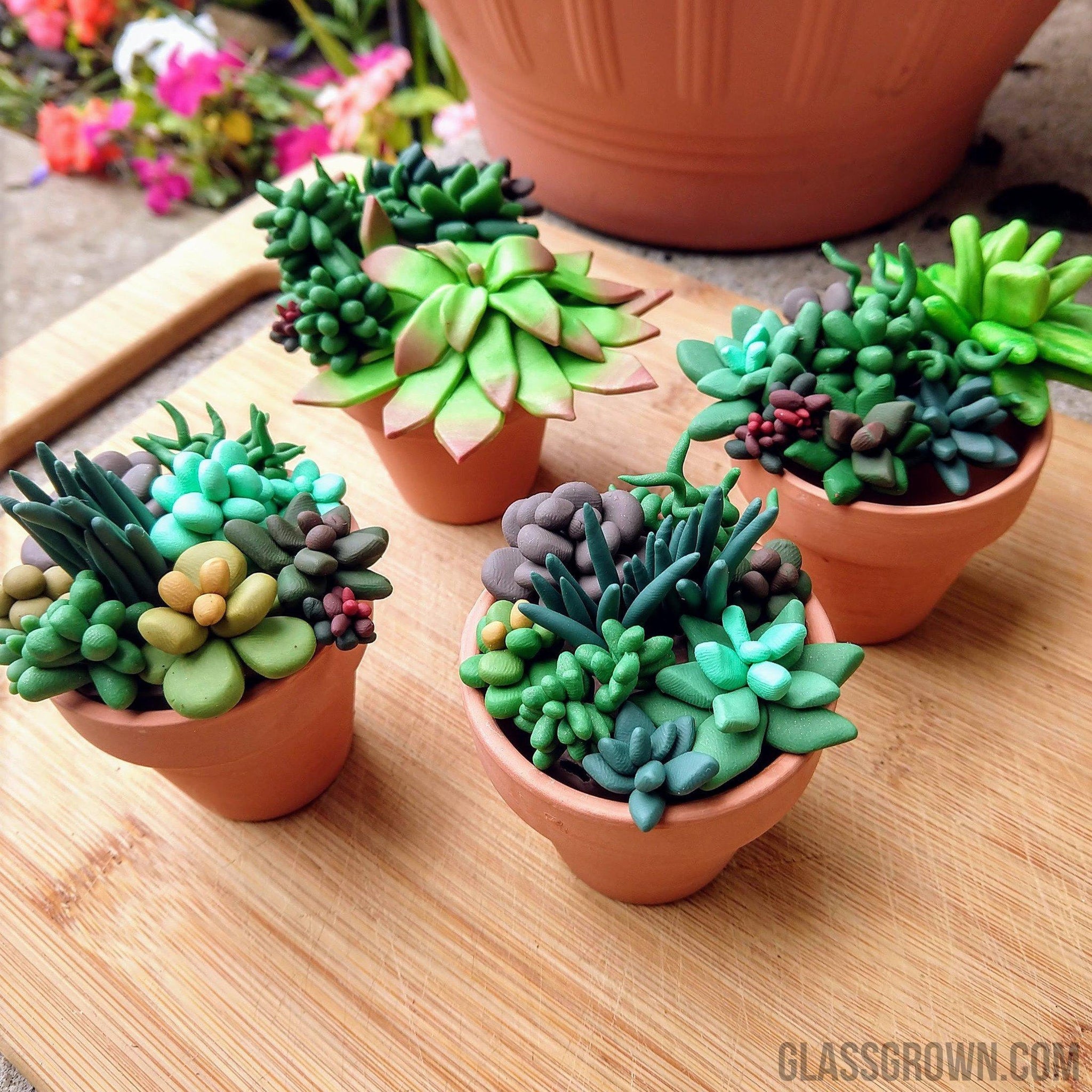 Tiny Terra-Cotta Succulent Aquarium Decor – Glass Grown Aquatics