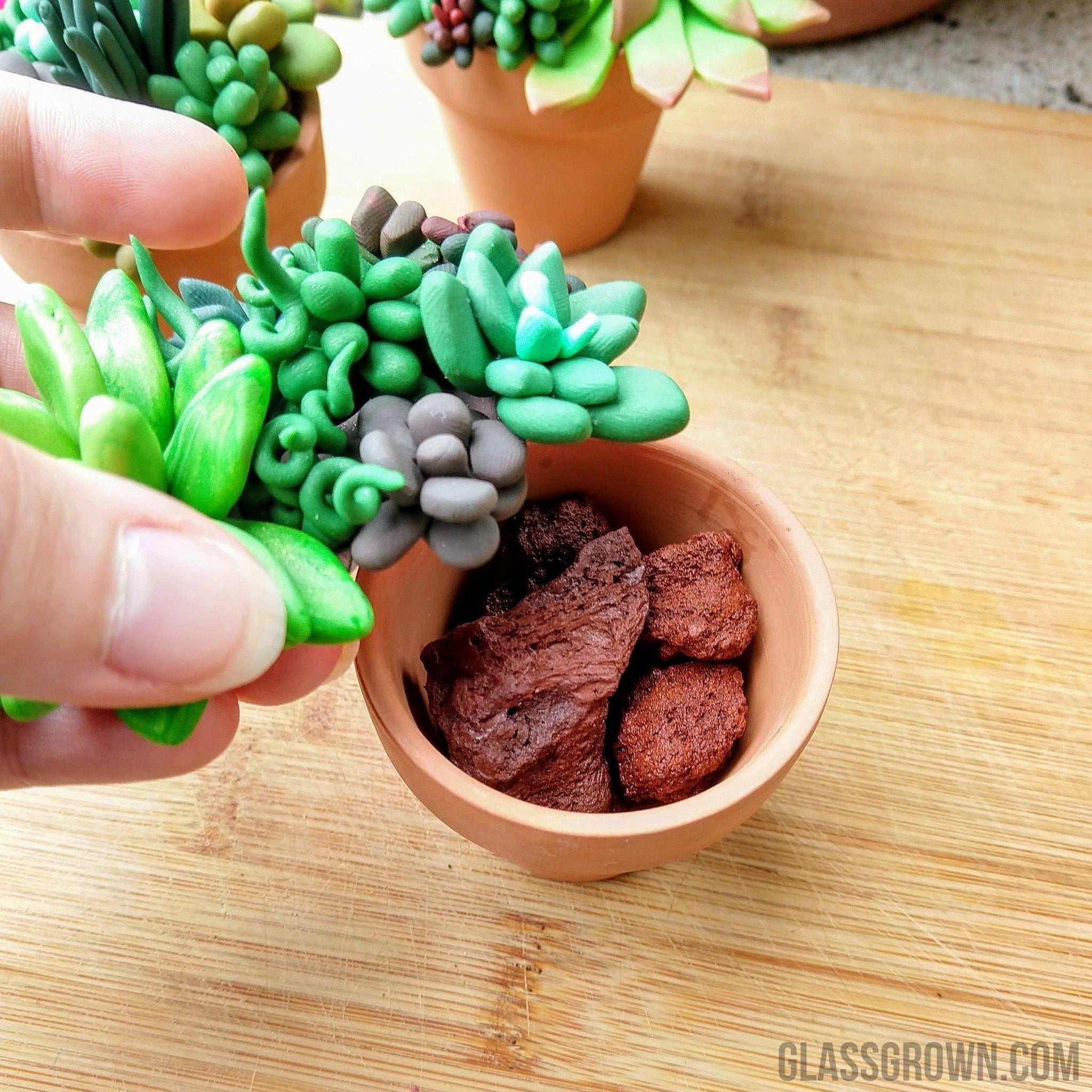 clay pots for aquarium plants Tiny Terra-Cotta Succulent Aquarium Decor – Glass Grown Aquatics