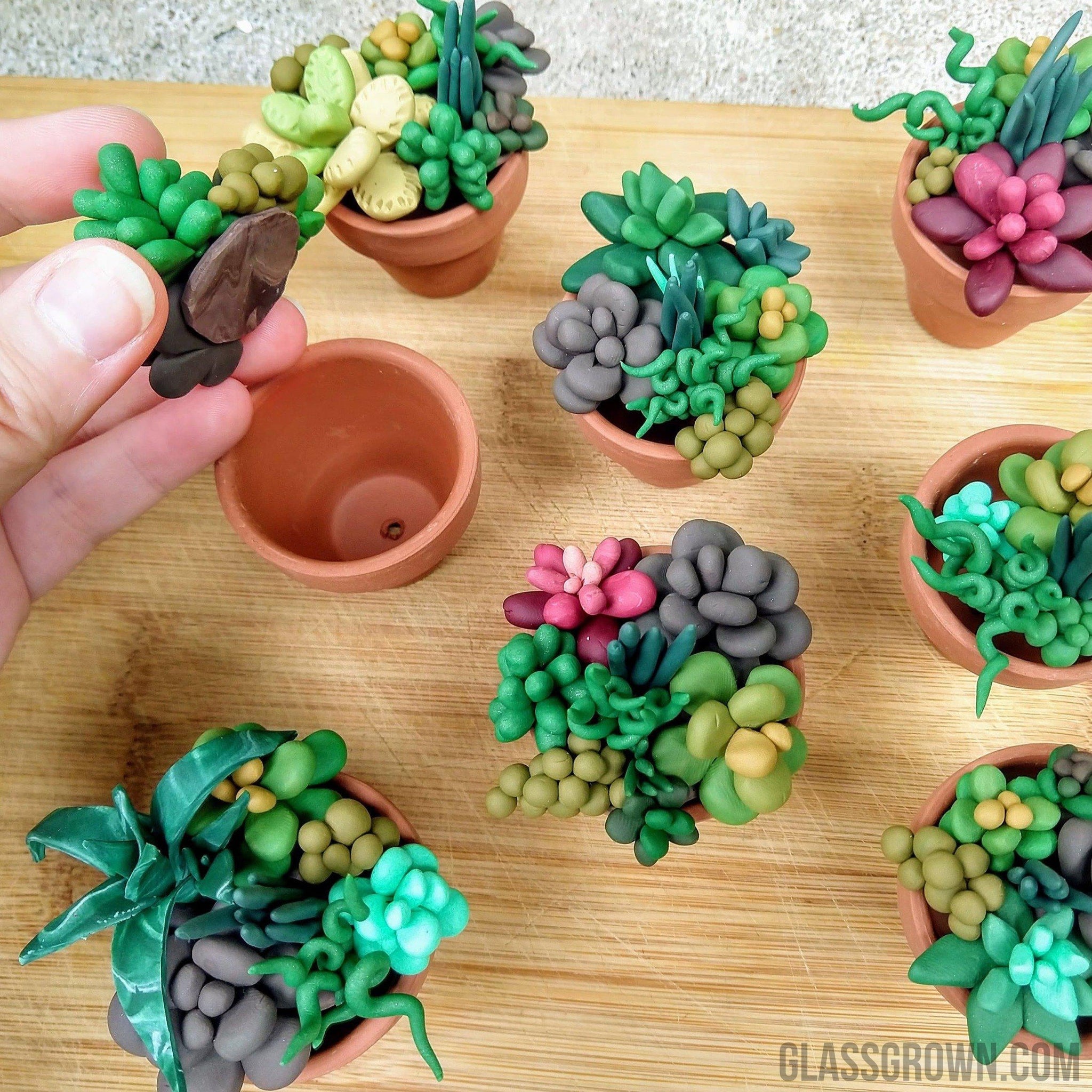 small terracotta pots for aquarium plants Tiny Terra-Cotta Succulent Aquarium Decor – Glass Grown Aquatics