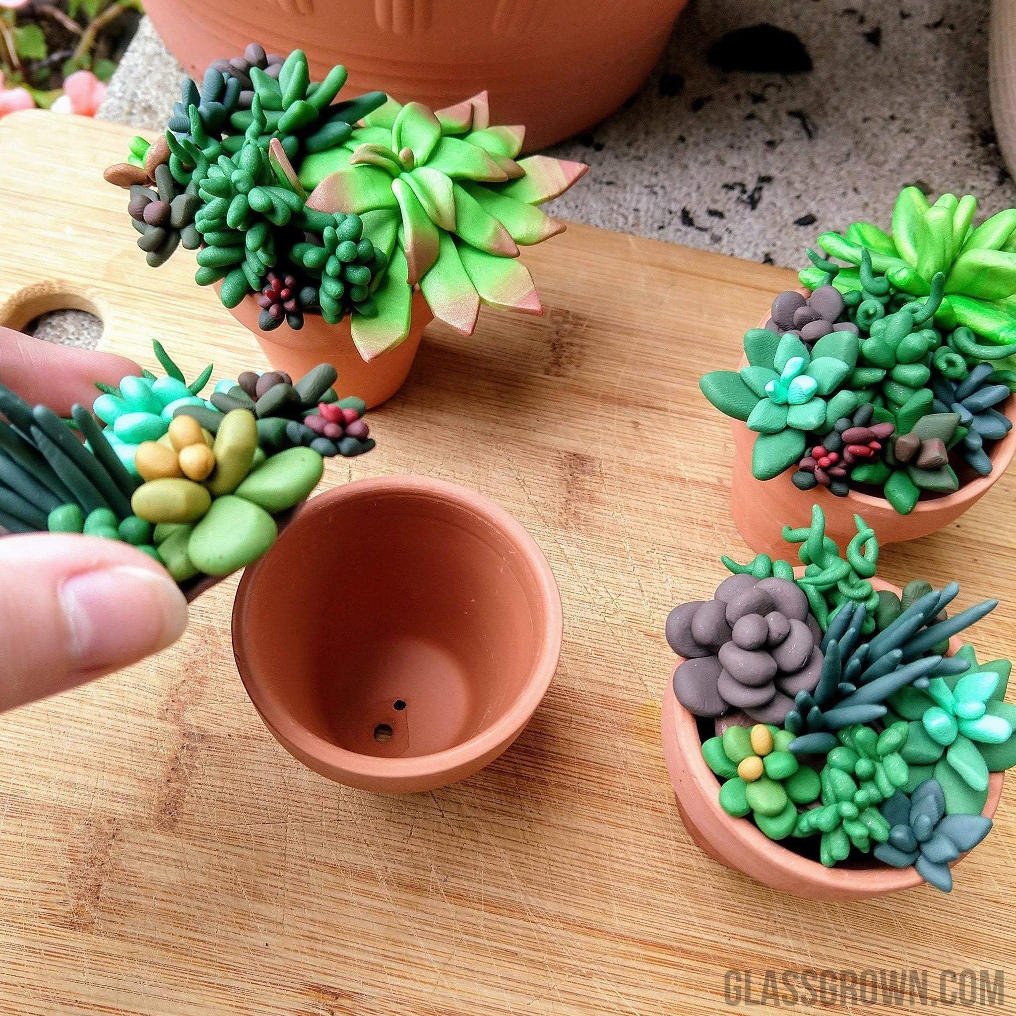 terra cotta pots for succulents Tiny Terra-Cotta Succulent Aquarium Decor – Glass Grown Aquatics
