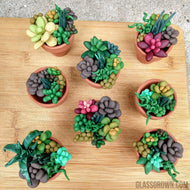 Tiny Terra-Cotta Succulent Aquarium Decor-Aquarium Decor-Glass Grown-Succulent pot only-Glass Grown Aquatics-Aquarium live fish plants, decor