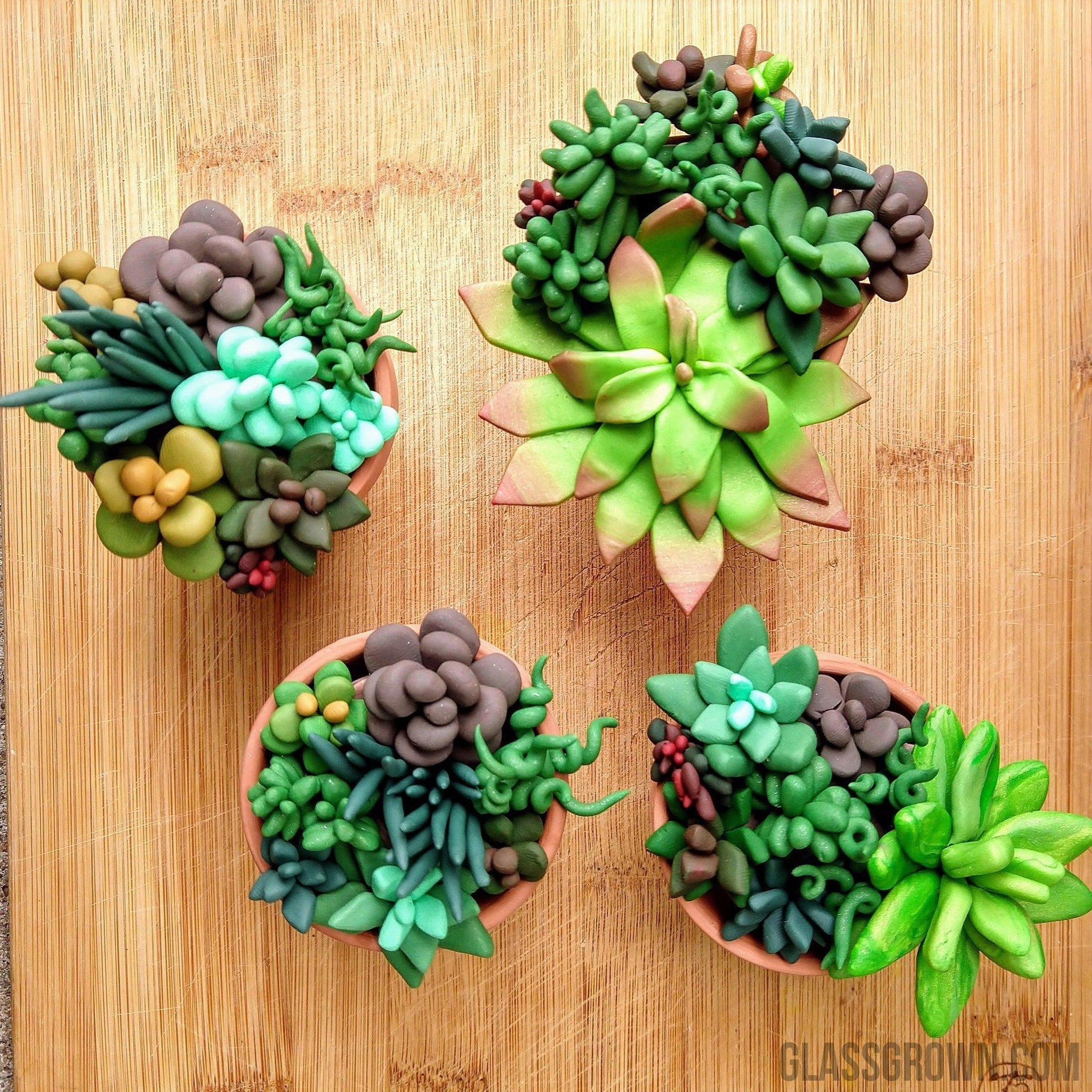 clay succulent pots Tiny Terra-Cotta Succulent Aquarium Decor – Glass Grown Aquatics