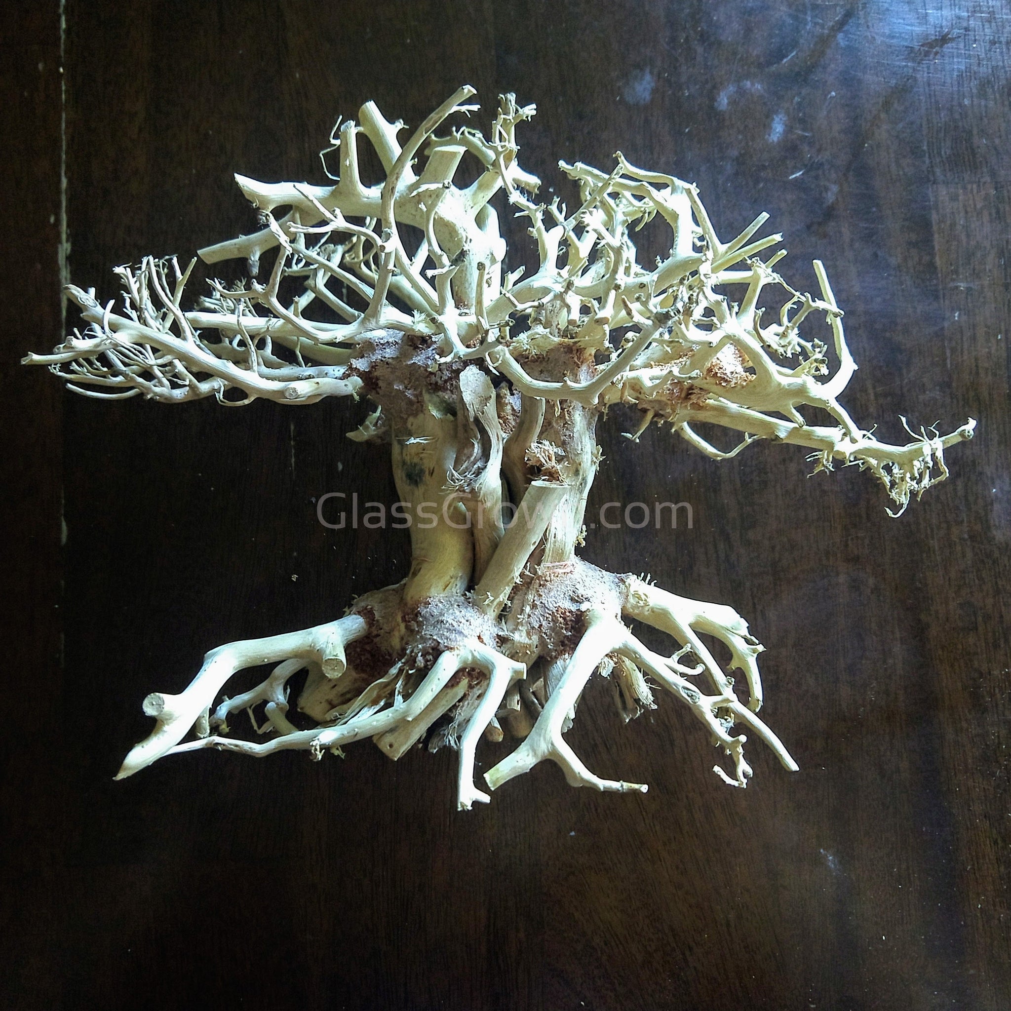 Yosemite Bonsai Wood Nano Size 6